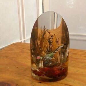 Vintage Lucite Sliced Acrylic Pheasant Scenic Paperweight